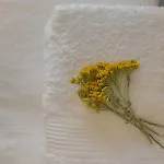 Hileja *